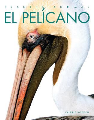 El Pelícano [Spanish] 1640261001 Book Cover