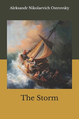 The Storm B08JB1XFKQ Book Cover