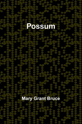 Possum 9361479245 Book Cover