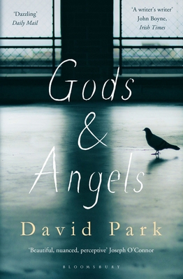 Gods and Angels 1408866099 Book Cover