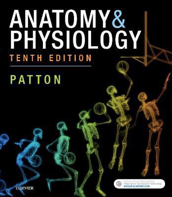 Anatomy & Physiology (Includes A&p Online Course) 0323528902 Book Cover