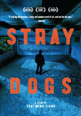 Stray Dogs B00PYI2UM4 Book Cover