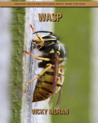 Wasp: Amazing Facts and Pictures about Wasp for Kids