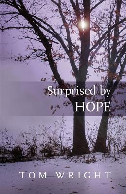 Surprised by Hope: Original, Provocative And Pr... 0281064776 Book Cover