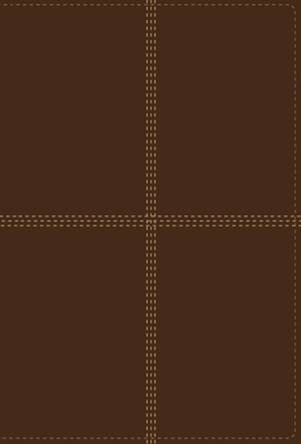 Bilingual Bible-PR-NIV/Rvr 1960 [Spanish] 0829763015 Book Cover