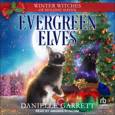 Evergreen Elves B0C9NQBQDF Book Cover