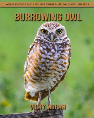 Paperback Burrowing Owl: Amazing Facts and Pictures about Burrowing Owl for Kids [Large Print] Book