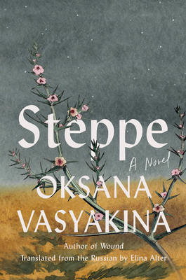Steppe 1646223071 Book Cover