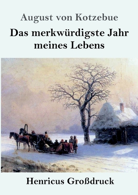 Das merkwürdigste Jahr meines Lebens (Großdruck) [German] 3847841297 Book Cover