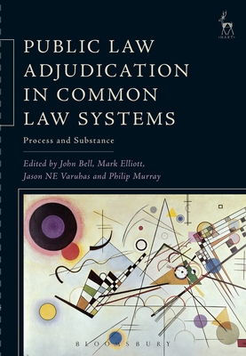 Public Law Adjudication in Common Law Systems: ... 1849469911 Book Cover