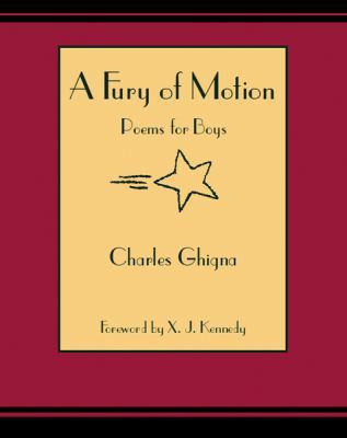 A Fury of Motion: Poems for Boys 1590781880 Book Cover