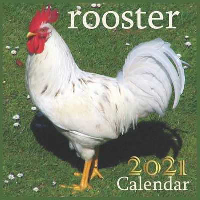 rooster: 2021 Wall & Office Calendar, 12 Month Calendar