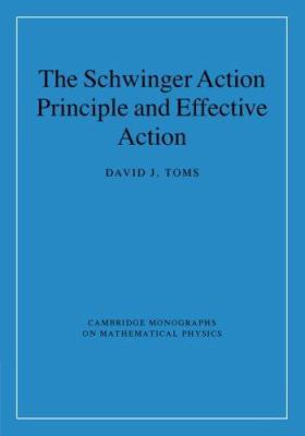 The Schwinger Action Principle and Effective Ac... 0521876761 Book Cover
