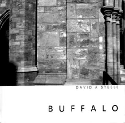Paperback Buffalo : Architecture in the American Forgotten Land Volume 1 Book