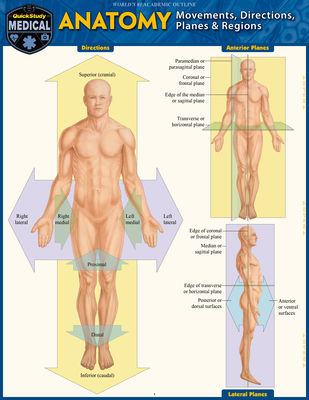 Anatomy - Directions, Planes, Movements & Regio... 1423248023 Book Cover