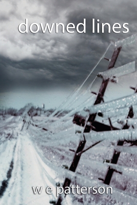 downed lines B0CGKV41C4 Book Cover
