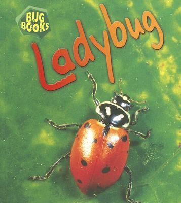 Ladybug (Bug Books) 1403483124 Book Cover