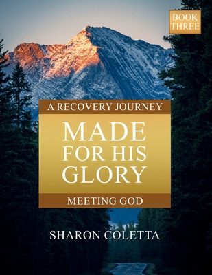 Made For His Glory: Meeting God (Book Three) 1969816171 Book Cover