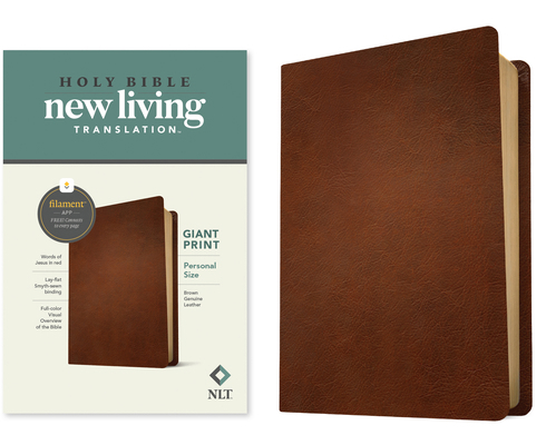 NLT Personal Size Giant Print Bible, Filament E... [Large Print] 149644499X Book Cover