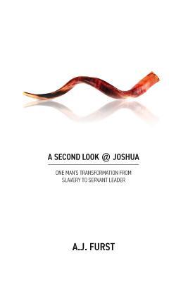 A Second Look @ Joshua 0359563333 Book Cover