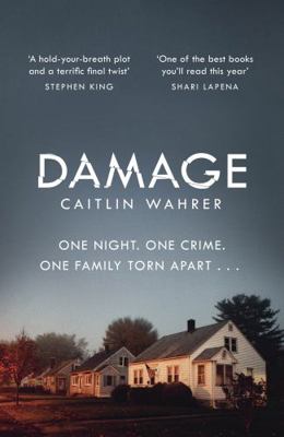 Damage: An unputdownable and emotionally grippi... 0241451116 Book Cover