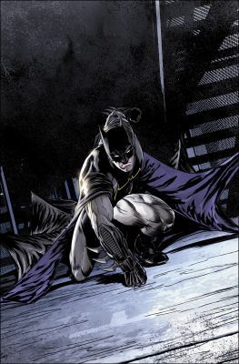 Batman Vol. 6: Bride or Burglar 1401280277 Book Cover