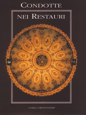 Le Condotte Nei Restauri [Italian] 8870627799 Book Cover