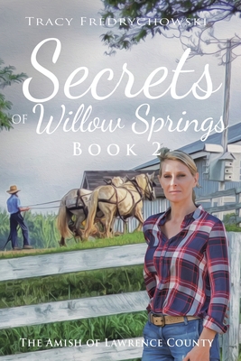 Secrets of Willow Springs - Book 2: The Amish o... 1734241101 Book Cover