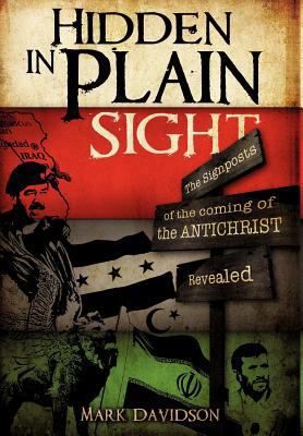 Hidden In Plain Sight 1619964961 Book Cover