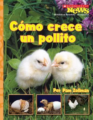 Como Crece un Pollito = A Chick Grows Up [Spanish] 0531207064 Book Cover