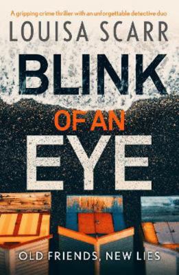 Blink of an Eye Book Cover