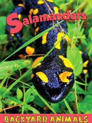 Salamanders 1605960853 Book Cover