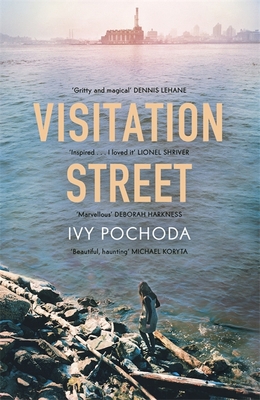Visitation Street: Two Girls Disappear on the R... 1444778277 Book Cover