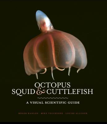 Octopus Squid & Cuttlefish 1782405704 Book Cover