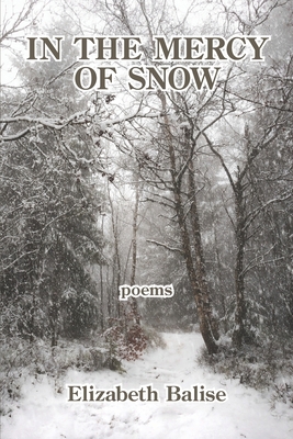 In the Mercy of Snow 1639800239 Book Cover