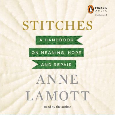 Stitches: A Handbook on Meaning, Hope and Repair 1611762375 Book Cover