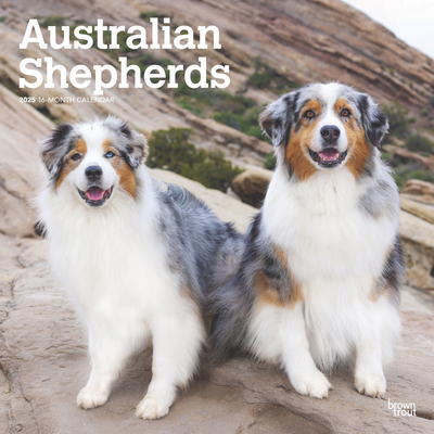 Australian Shepherds 2025 12 X 24 Inch Monthly ... 1975476557 Book Cover