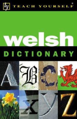 Teach Yourself Welsh Dictionary 0658015699 Book Cover