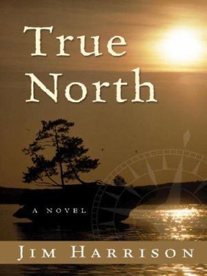 True North [Large Print] 1587247364 Book Cover