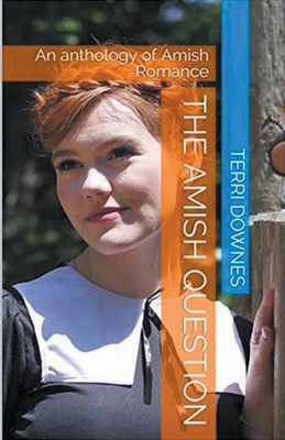 The Amish Question B0CXW2ZP7T Book Cover