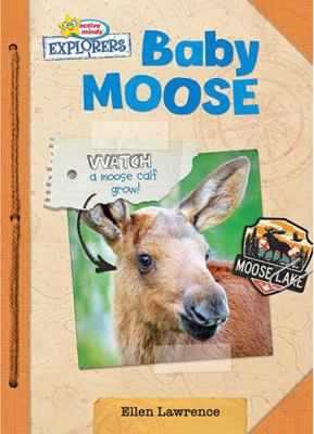 Active Minds Explorers: Baby Moose 1649969783 Book Cover