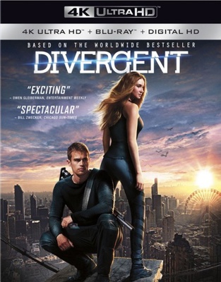 Divergent            Book Cover