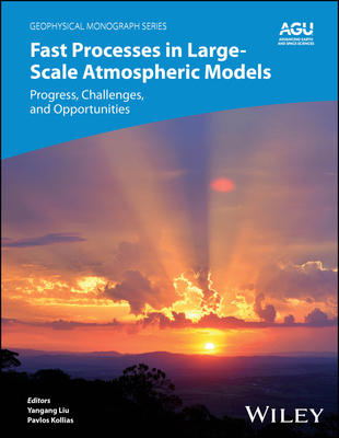 Fast Processes in Large-Scale Atmospheric Model... 1119528992 Book Cover