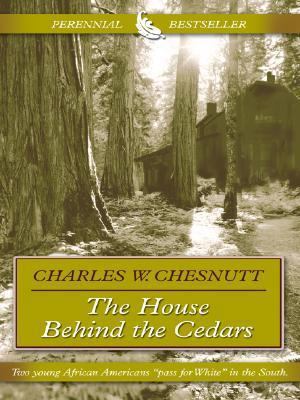 The House Behind the Cedars [Large Print] 0786264764 Book Cover