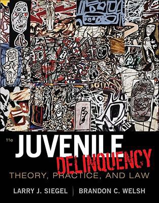 Juvenile Delinquency: Theory, Practice, and Law 1111346895 Book Cover