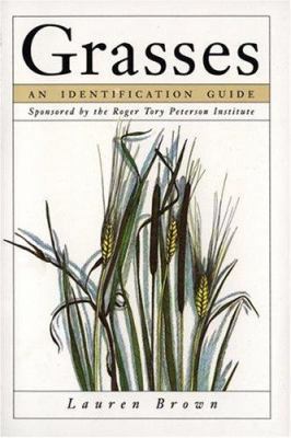 Grasses: An Identification Guide 0395628814 Book Cover