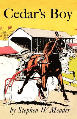 Cedar's Boy 1931177570 Book Cover