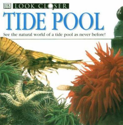 Tide Pool 0789429721 Book Cover