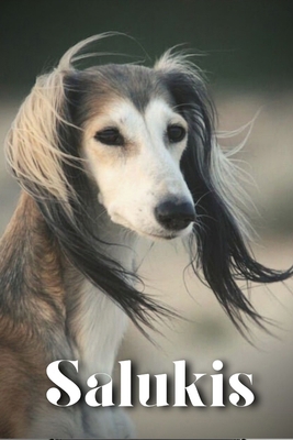 Salukis: Dog breed overview and guide B0C9S86SD5 Book Cover