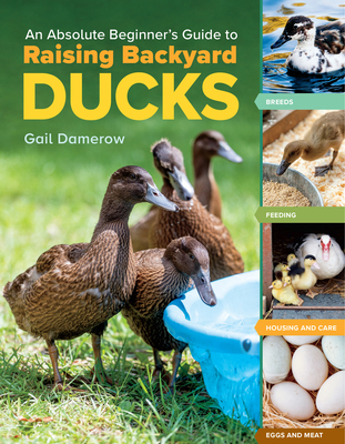 An Absolute Beginner's Guide to Raising Backyar... 1635865298 Book Cover